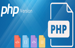 What is the difference between these two PHP versions?