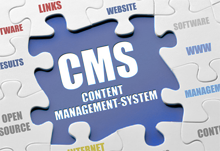 Web Content Management Service