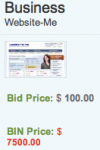 bid-bin-price.png