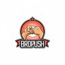 BroPush