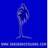 Insuranceisland - Califor